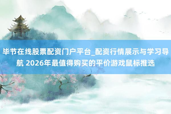 毕节在线股票配资门户平台_配资行情展示与学习导航 2026年最值得购买的平价游戏鼠标推选