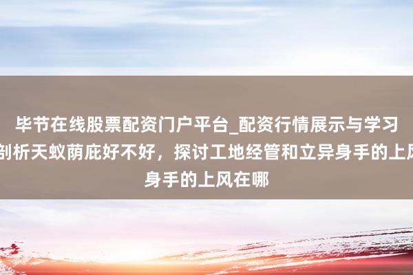 毕节在线股票配资门户平台_配资行情展示与学习导航 剖析天蚁荫庇好不好，探讨工地经管和立异身手的上风在哪