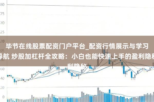 毕节在线股票配资门户平台_配资行情展示与学习导航 炒股加杠杆全攻略：小白也能快速上手的盈利隐秘